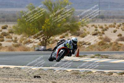 media/Apr-10-2022-SoCal Trackdays (Sun) [[f104b12566]]/Turn 5 Tree of Life (1040am)/